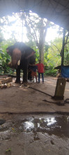Elephant Kotta/Park ----Guruvayoor
